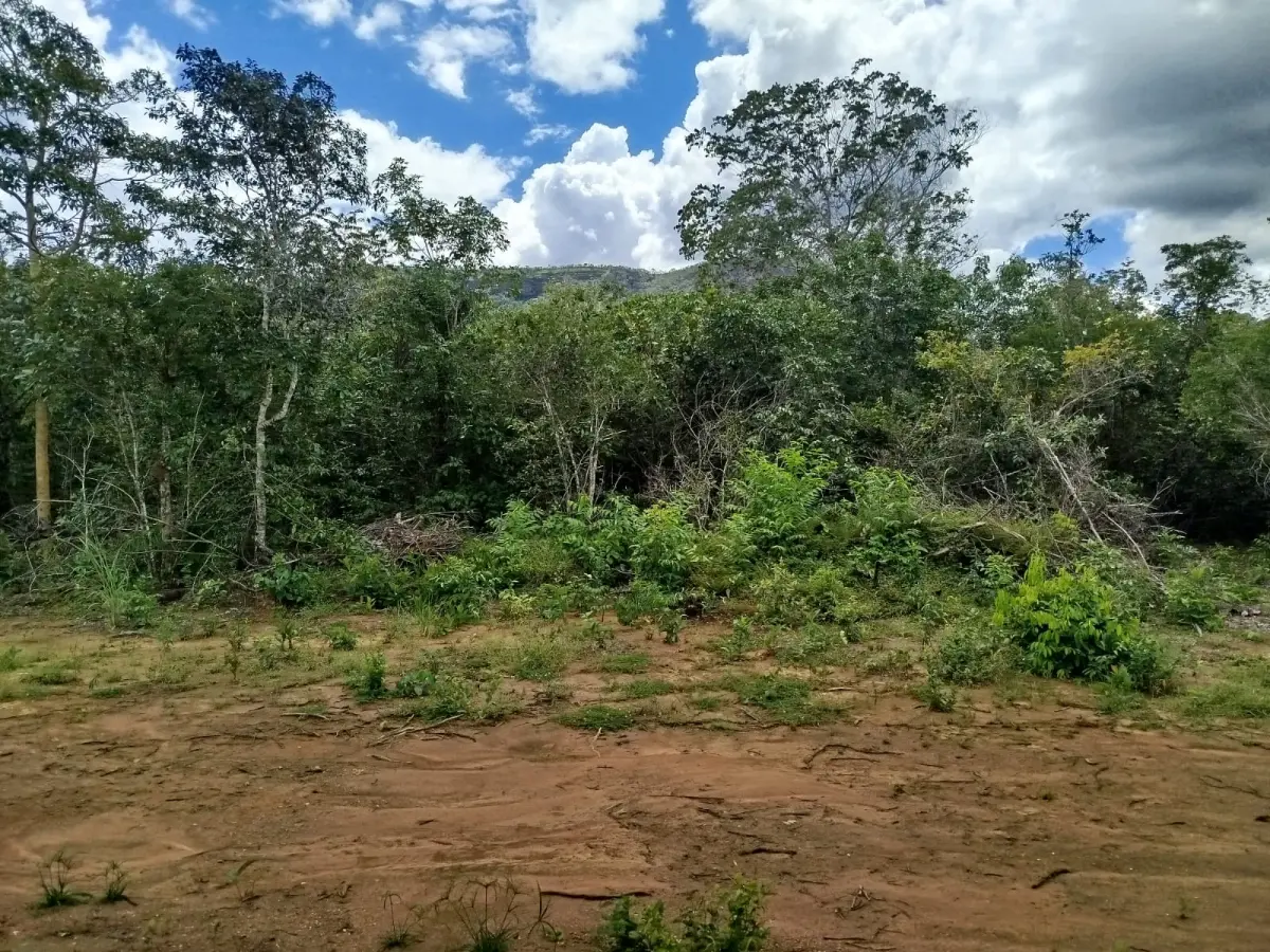 Terreno no Taquaruçu Grande