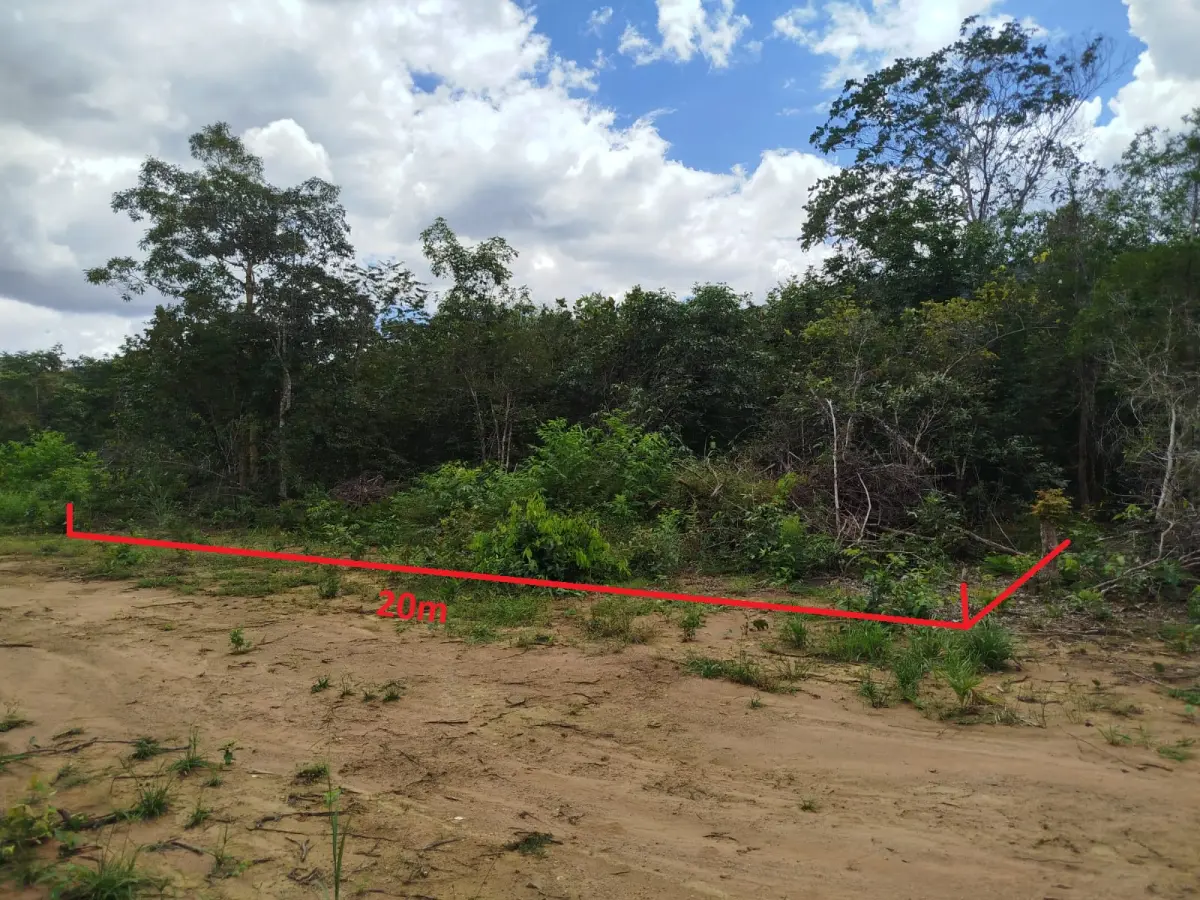 Terreno no Taquaruçu Grande - Imagem 3