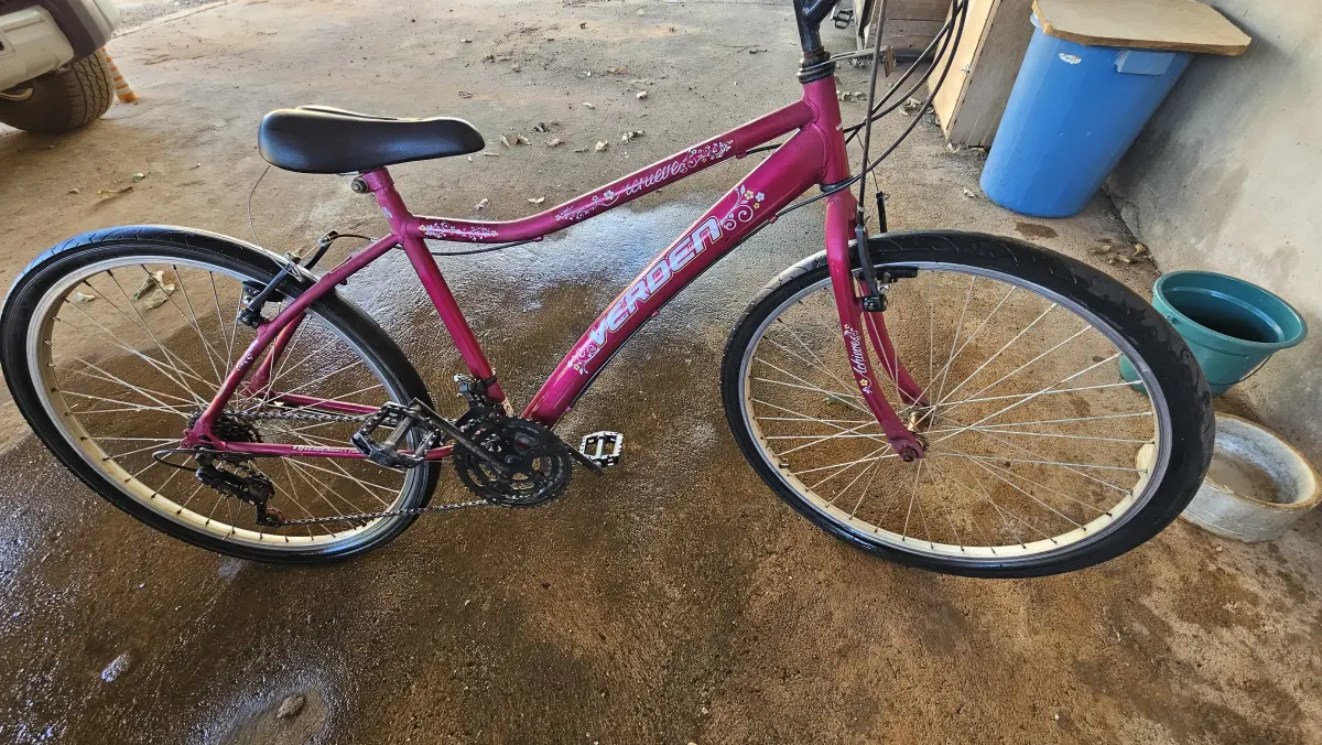 Bicicleta