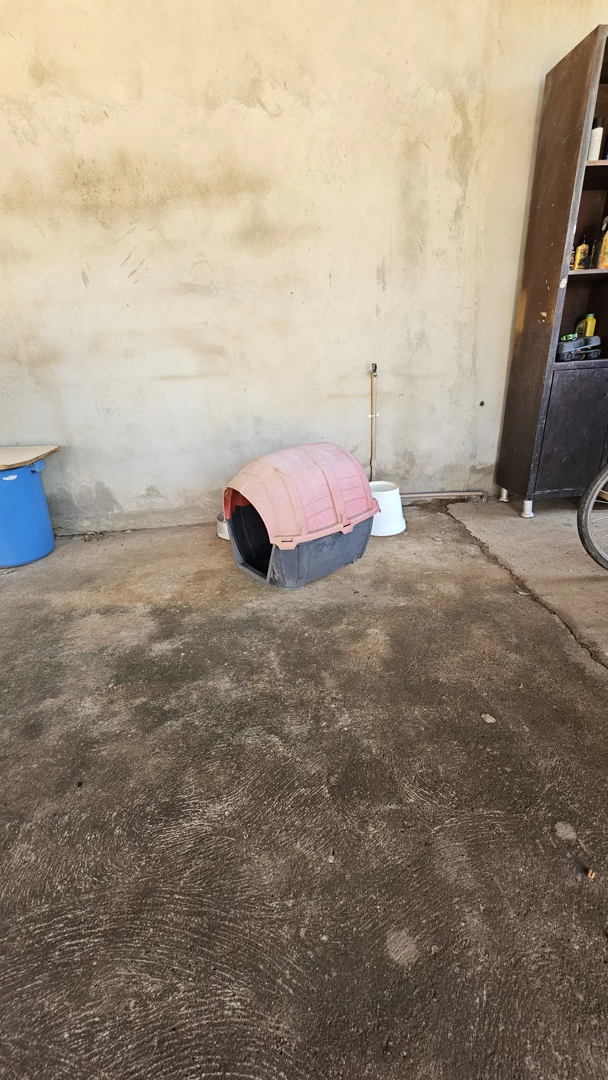 Casa para Cachorro ou Gato