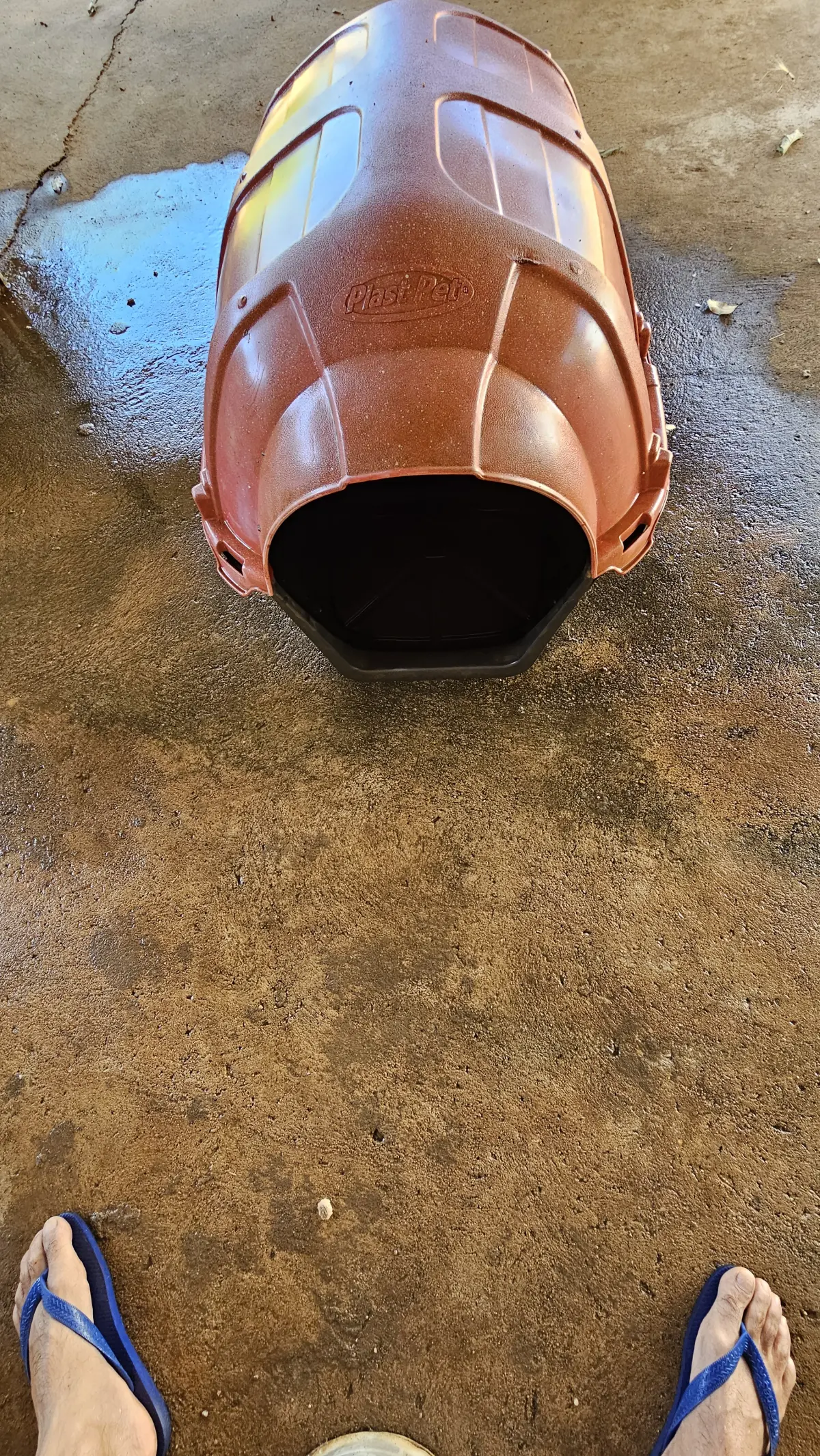 Casa para Cachorro ou Gato - Imagem 5